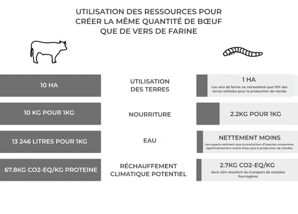 Infographie sur l'utilisation des ressources pour créer la même quantité de boeuf que de vers de farine