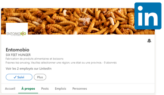 Entomobio LinkedIn pagina