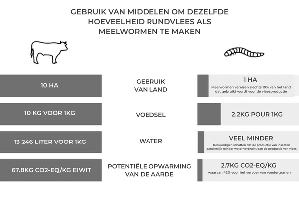 Infographic over het gebruik van middelen om dezelfde hoeveelheid rundvlees te produceren als meelwormen
